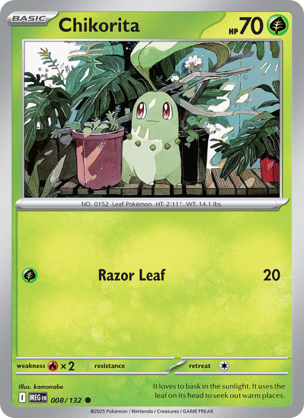 Chikorita